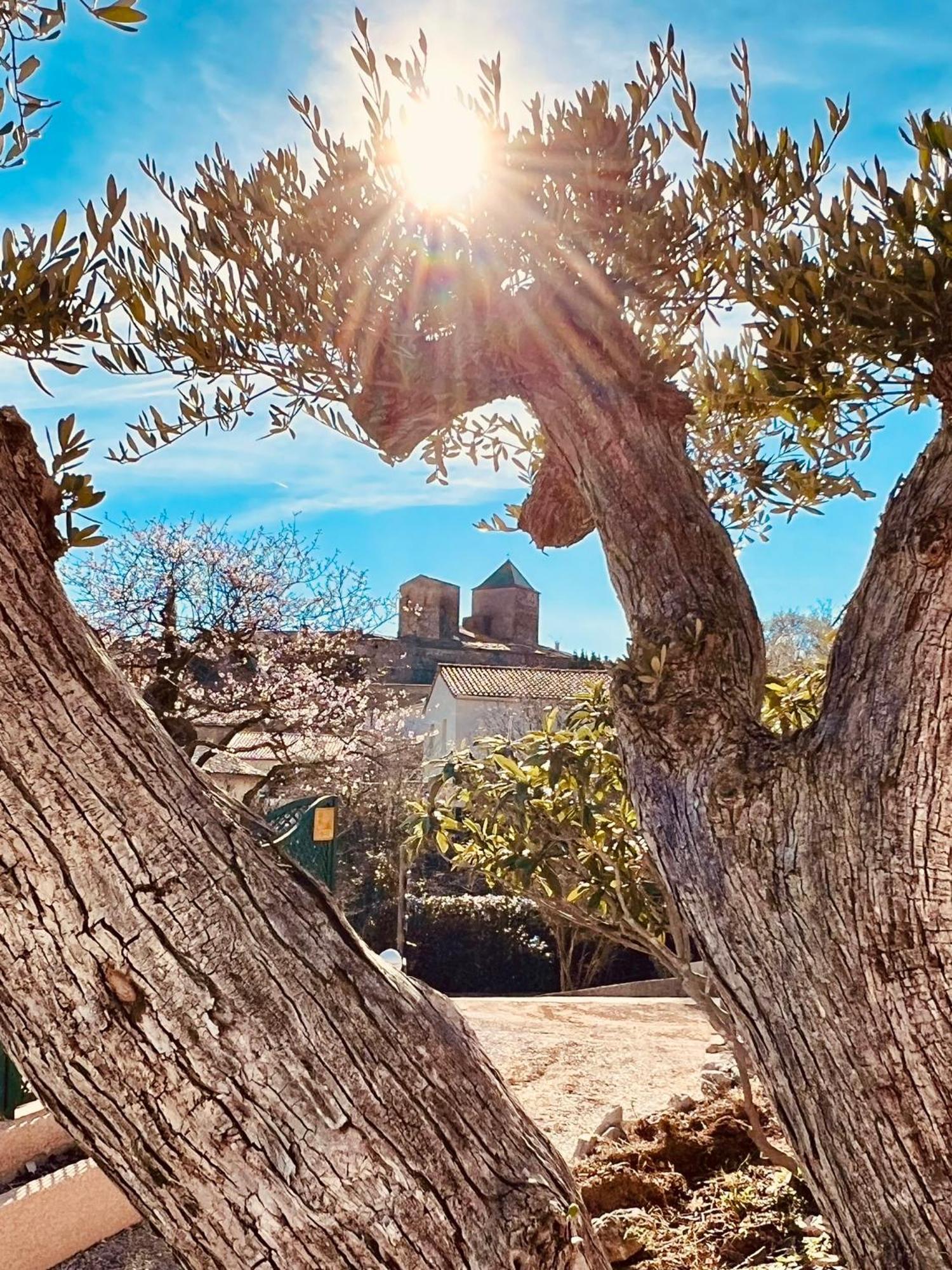 Melisande Au Pays Des Orjouliers Saint-Jean-de-Fos 外观 照片