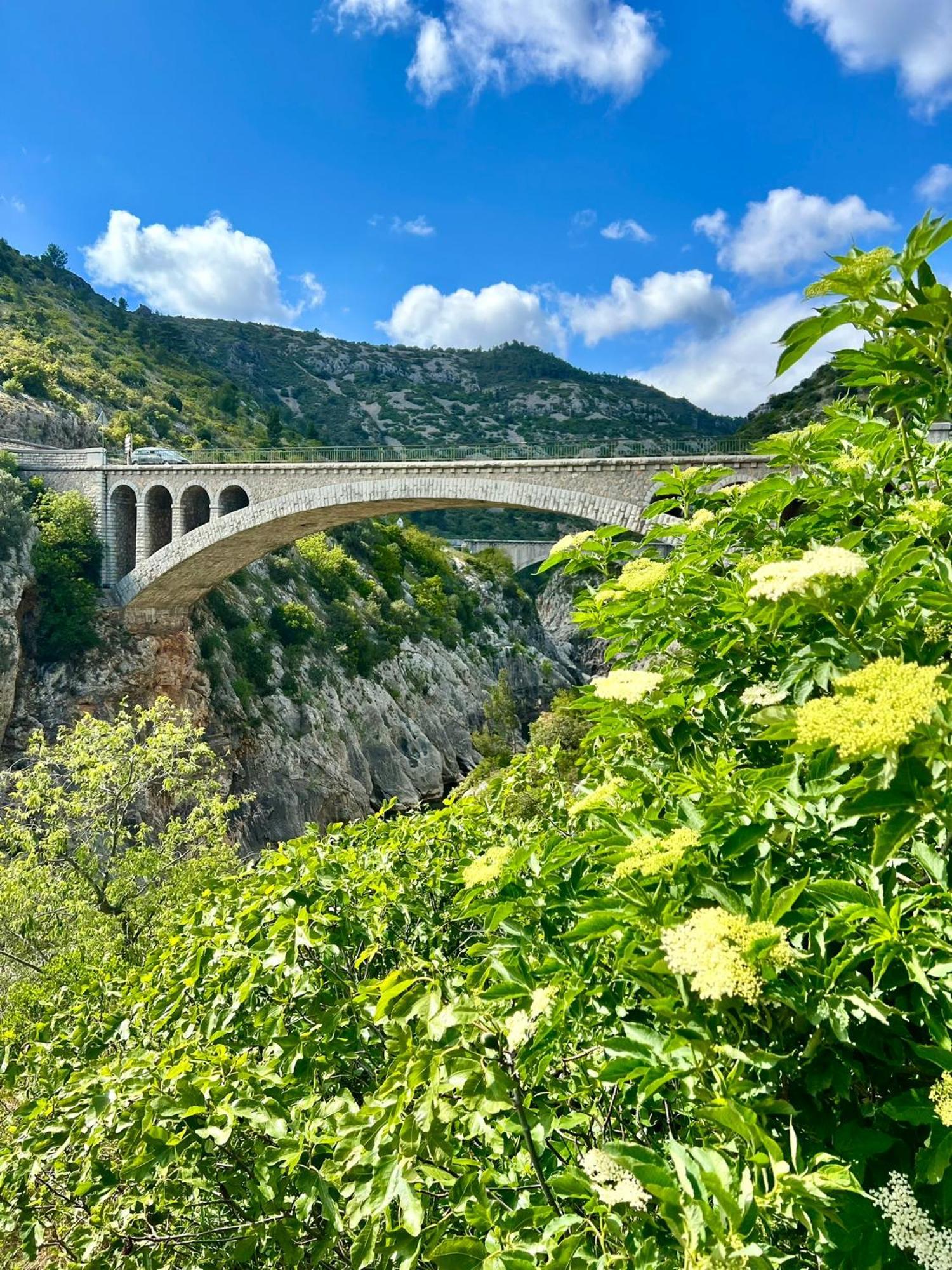 Melisande Au Pays Des Orjouliers Saint-Jean-de-Fos 外观 照片